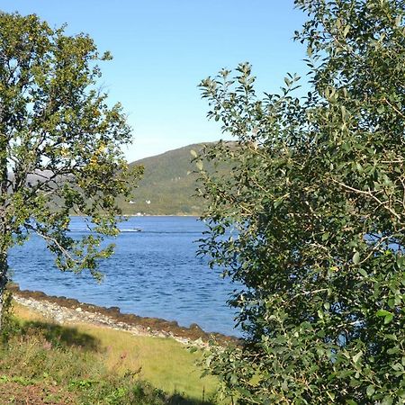 Kvaloya Lodge Futrikelv Екстер'єр фото